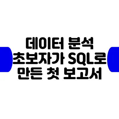 데이터 분석 초보자가 SQL로 만든 첫 보고서