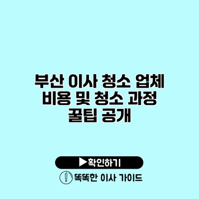 부산 이사 청소 업체 비용 및 청소 과정 꿀팁 공개