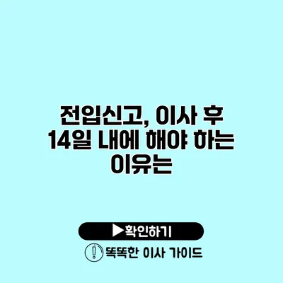 전입신고, 이사 후 14일 내에 해야 하는 이유는?