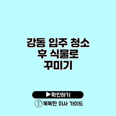 강동 입주 청소 후 식물로 꾸미기