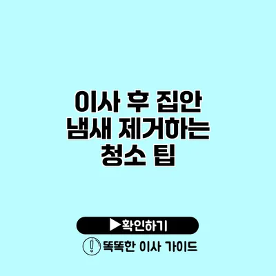 이사 후 집안 냄새 제거하는 청소 팁