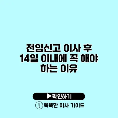 전입신고 이사 후 14일 이내에 꼭 해야 하는 이유