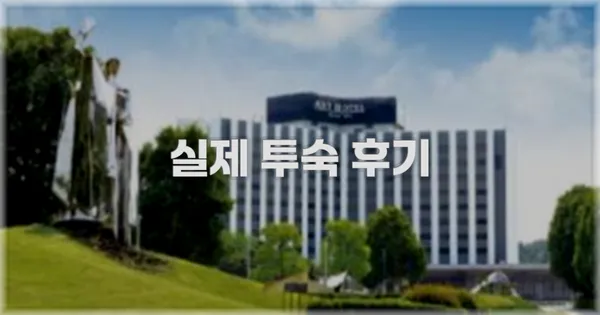 💬 실제 투숙 후기